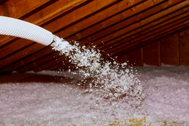 Best Types of Insulation in Naples, FL