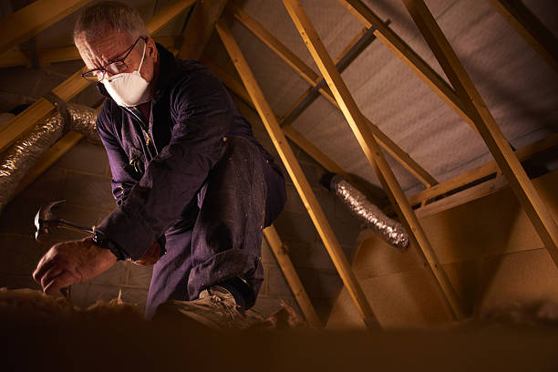 Best Residential Insulation in Naples, FL